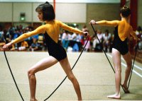 Lunge