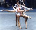 Bulgarian Group
